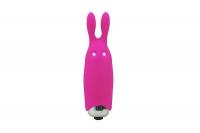 купить Вибропуля Adrien Lastic Pocket Vibe Rabbit Pink со стимулирующими ушками купить Вибропуля Adrien Lastic Pocket Vibe Rabbit Pink со стимулирующими ушками