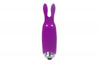 купить Вибропуля Adrien Lastic Pocket Vibe Rabbit Purple со стимулирующими ушками купить Вибропуля Adrien Lastic Pocket Vibe Rabbit Purple со стимулирующими ушками