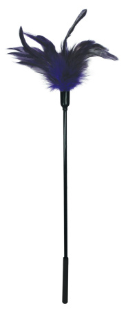 фото Щекоталка Sportsheets Starburst Tickler Фиолетовая, перо молодого петушка фото Щекоталка Sportsheets Starburst Tickler Фиолетовая, перо молодого петушка