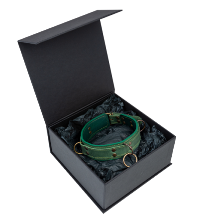 фото Премиум ошейник LOVECRAFT размер S зеленый, натуральная кожа, в подарочной упаковке